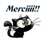 merci chaton noir.jpg